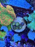 IMG_7067.jpeg