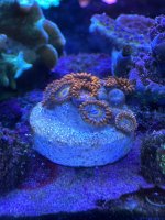 IMG_7042.jpeg