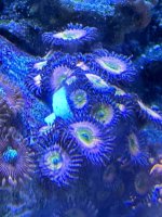 IMG_7040.jpeg