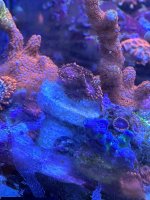 IMG_7044.jpeg