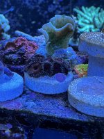 IMG_7041.jpeg