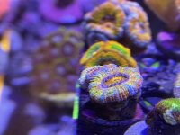 IMG_9118.jpeg