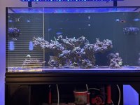 IMG_1380.jpeg