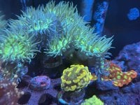 IMG_9163.jpeg