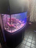 IMG_8720.jpeg