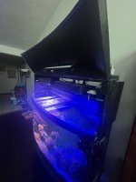 IMG_8722.jpeg
