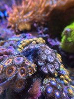 IMG_0331.jpeg