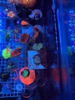 IMG_3541.jpg