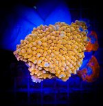 image_123650291 (23).JPG