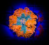 image_123650291 (25).JPG