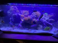 IMG_0059.jpeg