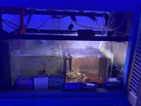 SUMP-012824.jpg