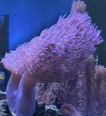 IMG_3342.jpeg