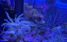 IMG_3313.jpeg
