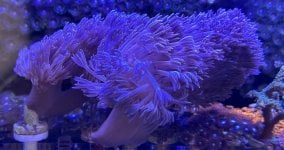 IMG_3331.jpeg