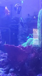 20240206_111739.jpg