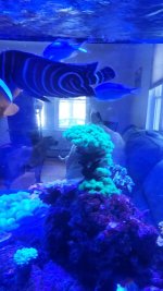 20240206_110630.jpg