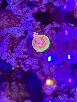 IMG_1267.jpeg