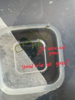 IMG_3566.jpg