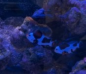 IMG_0776.jpeg