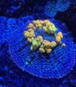 IMG_0695.jpeg
