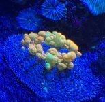 IMG_0703.jpeg