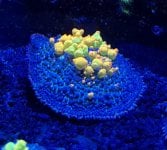 IMG_0578.jpeg