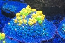 IMG_0289.jpeg