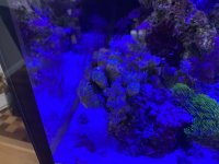 IMG_8728.jpg