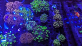 PXL_20240211_153648849.jpg