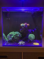 IMG_5025.jpeg