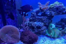 IMG_3490.jpeg