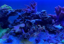 IMG_3491.jpeg