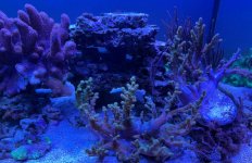 IMG_3492.jpeg