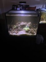 IMG_9115.jpeg
