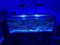 IMG_9118.jpeg