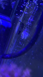 IMG_9564.jpeg