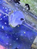 IMG_9574.jpeg