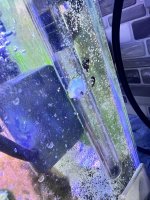 IMG_9572.jpeg