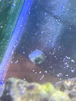 IMG_9576.jpeg