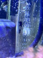 IMG_9577.jpeg