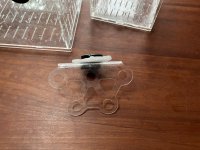 IMG_9137.jpeg