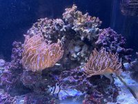 IMG_5270.jpeg
