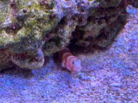 IMG_3525.jpeg