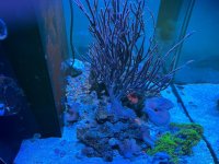 IMG_3530.jpeg