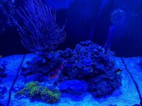 IMG_3529.jpeg