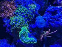 IMG_0456.jpeg