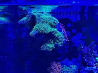 IMG_0457.jpeg