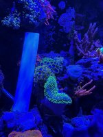 IMG_0459.jpeg