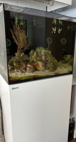 IMG_3537.jpeg